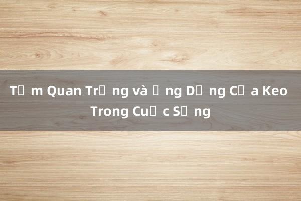 Tầm Quan Trọng và Ứng Dụng Của Keo Trong Cuộc Sống