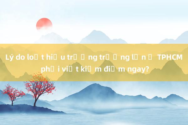 Lý do loạt hiệu trưởng trường lớn ở TPHCM phải viết kiểm điểm ngay?