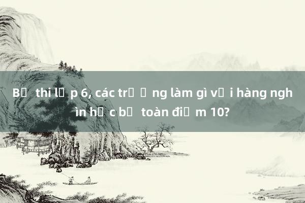 Bỏ thi lớp 6， các trường làm gì với hàng nghìn học bạ toàn điểm 10?