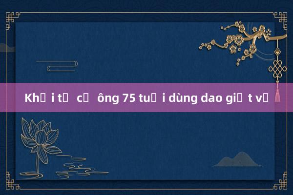 Khởi tố cụ ông 75 tuổi dùng dao giết vợ