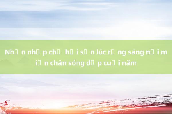 Nhộn nhịp chợ hải sản lúc rạng sáng nơi miền chân sóng dịp cuối năm