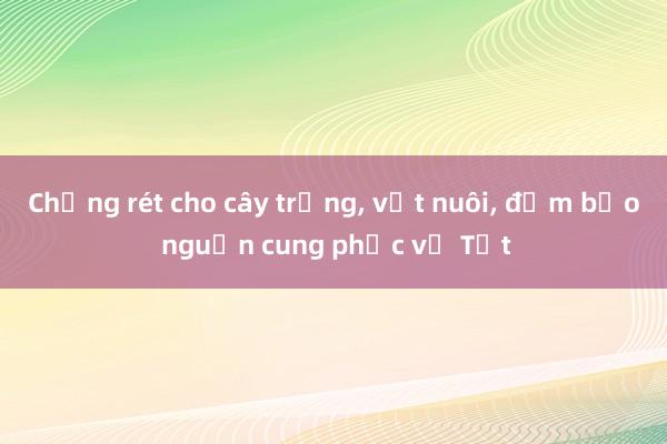 Chống rét cho cây trồng， vật nuôi， đảm bảo nguồn cung phục vụ Tết