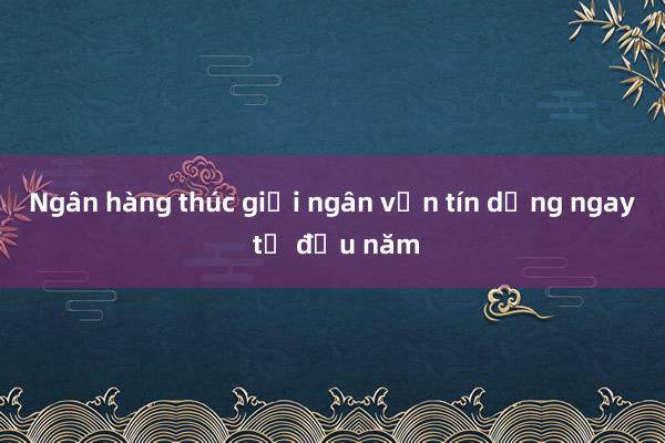 Ngân hàng thúc giải ngân vốn tín dụng ngay từ đầu năm