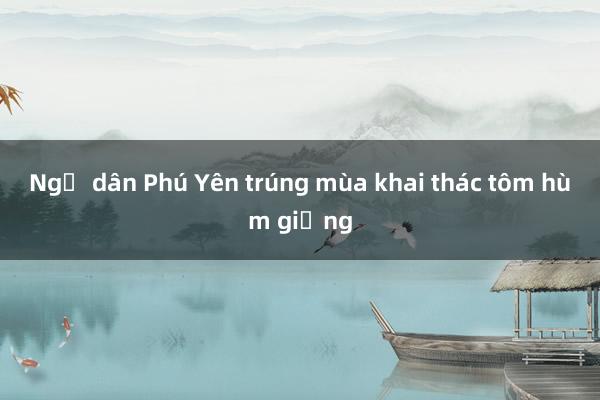 Ngư dân Phú Yên trúng mùa khai thác tôm hùm giống