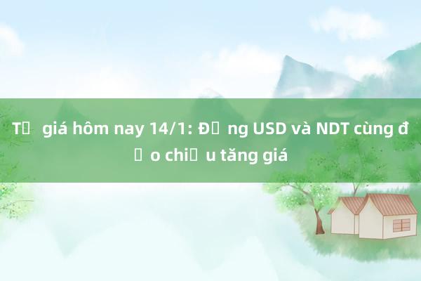 Tỷ giá hôm nay 14/1: Đồng USD và NDT cùng đảo chiều tăng giá