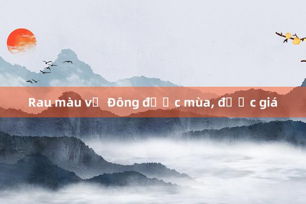 Rau màu vụ Đông được mùa, được giá