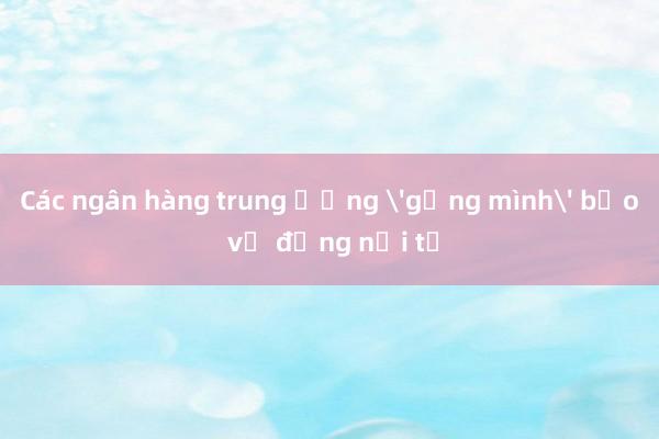 Các ngân hàng trung ương 'gồng mình' bảo vệ đồng nội tệ