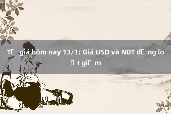 Tỷ giá hôm nay 13/1: Giá USD và NDT đồng loạt giảm