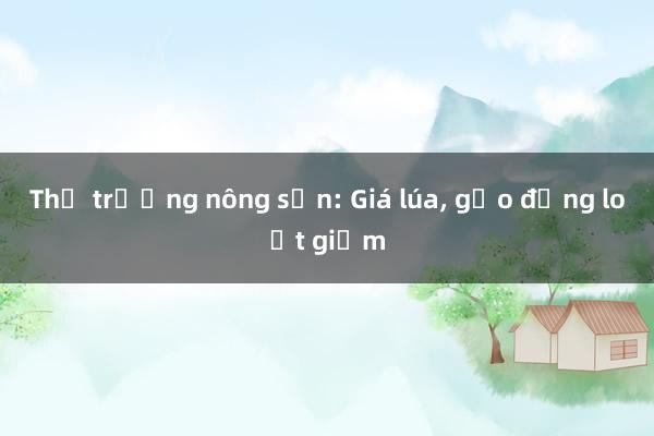 Thị trường nông sản: Giá lúa, gạo đồng loạt giảm