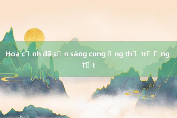 Hoa cảnh đã sẵn sàng cung ứng thị trường Tết