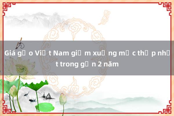 Giá gạo Việt Nam giảm xuống mức thấp nhất trong gần 2 năm