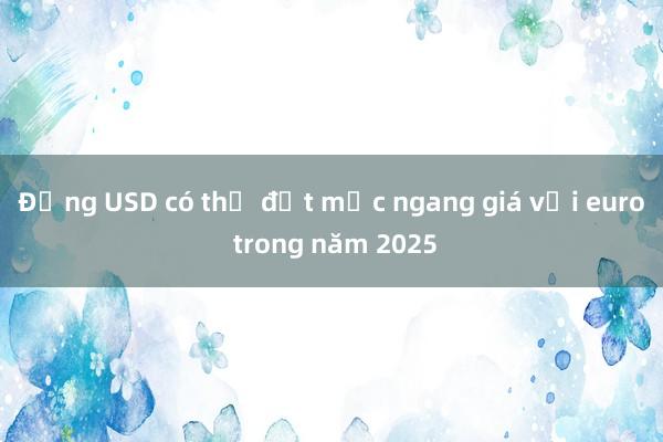 Đồng USD có thể đạt mức ngang giá với euro trong năm 2025