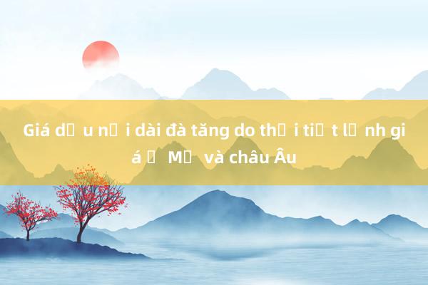 Giá dầu nối dài đà tăng do thời tiết lạnh giá ở Mỹ và châu Âu